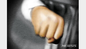 “남자 우습냐” 34분에 걸쳐 이웃집 여성 폭행…징역 2년6개월 실형