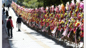 조은희 “윤석열 화환 철거 예고에 ‘넌 어느 당이냐’ 문자 폭탄”