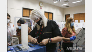 11월 미국 대선 사전투표자 8000만명 넘어