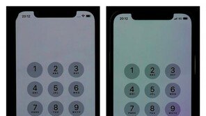 “아이폰12, 밝기 낮추면 ‘핑크색’ 변질”…‘벚꽃에디션이냐’ 냉소