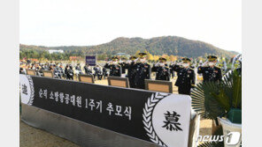 정치권, 독도 헬기사고 1주기 추모…소방관 안전에 한목소리