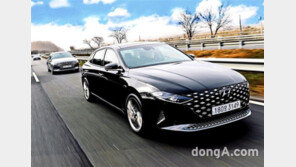 현대차, 10월 그랜저 판매↑ 해외 실적은 올해 최고치