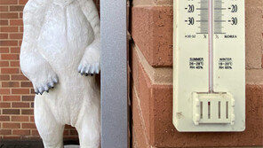 똑똑[고양이 눈]