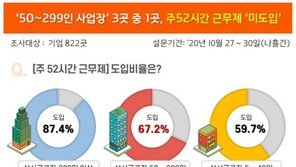 ‘주52시간제’ 계도기간 두달 뒤 종료지만… 3곳 중 1곳은 “도입도 안 했다”