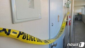 분당 화투살해 전과 45범 60대, 법정서 ‘혐의 인정’