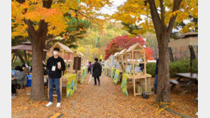 [에코X경기도] 환상마켓 블루콘서트와 함께 일깨운 환경보호의 중요성
