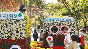 국화꽃 버스, 가을역으로 출발!