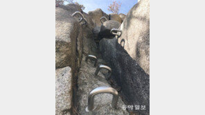 오르고 또 오르면[고양이 눈]