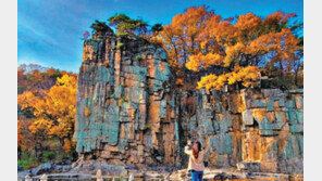 한 폭의 그림같은 사인암