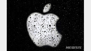 애플, 10일 자체 프로세서 탑재한 신형 ‘맥’ 공개할 듯