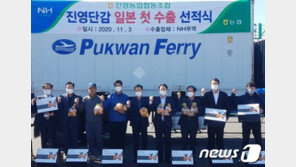 93년 전 日서 처음 들어왔는데…진영단감 일본에 첫 역수출