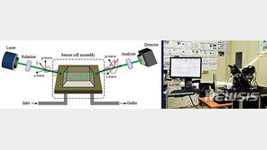 혈액으로 치매 조기진단 가능…실시간 정밀 측정장비 개발 성공