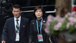 국정원, 최선희 강제노역설 일축…입지 더 강화