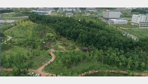 “나무만 심어도 돈 버는 산림 배출권거래제 활용을” 