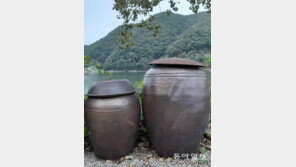 장 익는 마을[고양이 눈]