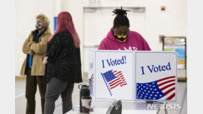 美 대선 당일 사이버 공격 등 악성코드 안보여