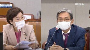 野, 靑에 ‘민주당 보궐공천’ 묻자…與 “국감하자고 국감” 고성