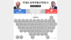 NYT “바이든 131명 vs 트럼프 108명 선거인단 확보”