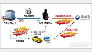 ‘다운 계약’ 연예인·회삿돈 유학…국세청, 38명 탈세 조사