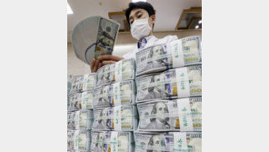 외환보유 4265억 달러… 5개월째 최대치 행진