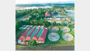 3000만원 투자로 다달이 100만원 수익 기대