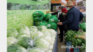 11월 김장비용 30만9000원… “3주 전보다 10만 원 저렴”