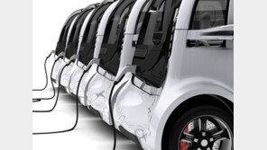 바이든이면 더 좋겠지만…美대선 누가 당선돼도 전기차 ‘활짝’