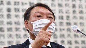 與 “윤석열, 특활비 94억 대선 자금이냐”…野 “총장 찍어내기”