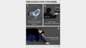 ‘한동훈과 육탄전’ 정진웅 차장검사 첫 재판 19→20일 변경