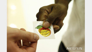 ‘핵심 경합주’ 떠오른 조지아,  美상원 다수당 지위도 결정할 듯