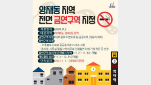 서초구 양재동 모든 공공도로 ‘금연구역’ 지정…전국 처음