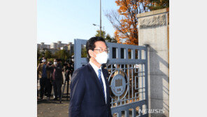 ‘부정선거’ 정정순 구속기소, 정치자금법 위반 등