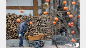 [날씨] 7일 비 그친 뒤 밤부터 ‘입동추위’…북서쪽 찬공기 유입