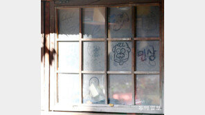 먼지 예술[고양이 눈]