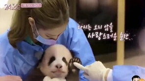 中누리꾼들 “장갑 안끼고 판다 만졌다” 블랙핑크 비난