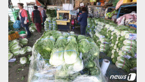 김장철 맞아 채소-돼지고기 등 20% 할인 행사 열린다