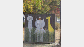 숨바꼭질[고양이 눈] 