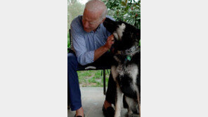 바이든 반려견 셰퍼드 백악관 입성…4년만에 ‘퍼스트 독’ 나와