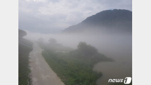 [날씨]9일 저녁 경기 남부·충청·전북 산발적 비…미세먼지 좋음