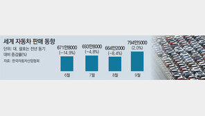 세계 車 판매 9월에야 첫 증가… “회복세 지속 불투명” 