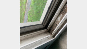 정수장 5곳 중 1곳 위생상태 불량하다