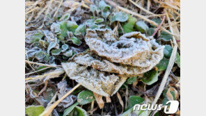 [날씨]10일 전국 영하 추위 계속…낮밤 기온차 15도 내외