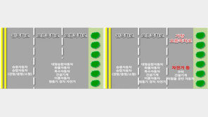 전동킥보드, 인도 못 달리고 아무 곳이나 주차 못한다