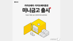 “비상금 맡겨주세요”…카카오페이·증권 ‘미니금고’ 서비스