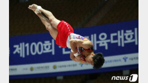 다시 뛰는 ‘도마의 신’ 양학선 “내 것만 완벽하게 한다면 1등 자신”