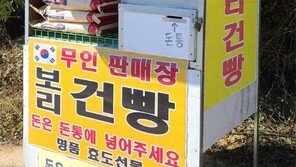 양심 가판대[고양이 눈]