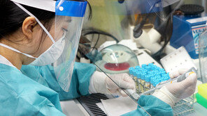 신규확진 146명, 나흘째 세 자리 수…국내발생 113명