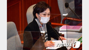 김현미 “우리집 5억이면 산다” 발언에…일산 주민들 “무개념” 