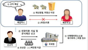 체납세금 안 내려고 위장이혼에 은행 비밀금고까지 동원