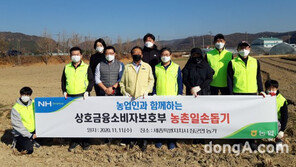 [포토]상호금융소비자보호부 농업인의 날 맞아 농촌일손돕기 실시